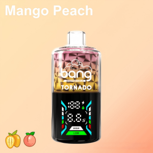 bang 40k puffs-mango-peach