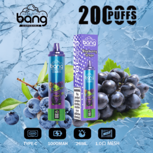 Zwei Früchte ein Geschmackserlebnis Bang Blaze 20000 Puffs Blueberry Grape
