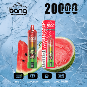 Erlebe den Sommer Bang Blaze 20000 Puffs Watermelon
