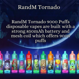 randm-9000-3