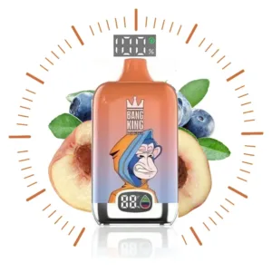 Erleben Sie Den Besten Geschmack Mit Bang King Smart Screen 15000 Puff Peach Blueraz